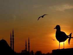 Mevlit Kandiliniz mübarek olsun